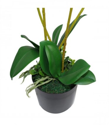 60cm Artificial Luxury Orchid - Triple Stem - Pink Realistic Plant