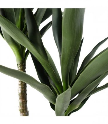 120cm Yucca Tree UV Resistant Outdoor