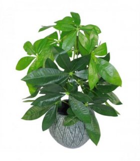 50cm Artificial Money Tree Plant