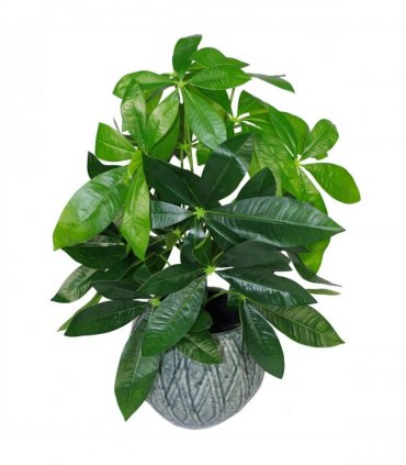 50cm Artificial Money Tree Plant
