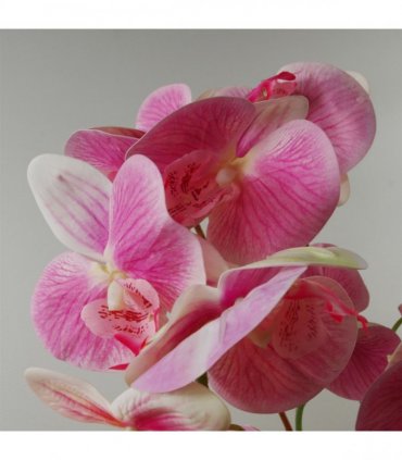 70cm Artificial Orchid Light Pink with Black Ceramic Planter