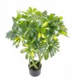 70cm Artificial Twisted Stem Gold Capella Arboricola Artificial Plant Bonsai Bush