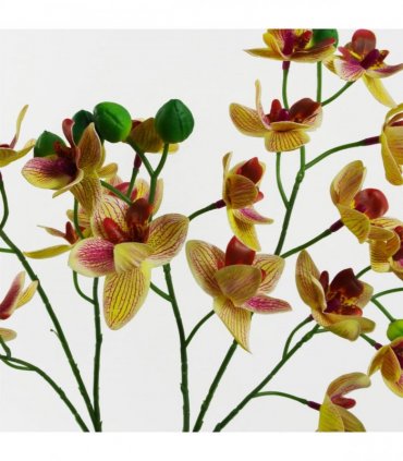 43cm Pink Yellow Artificial Orchid in Ceramic Planter