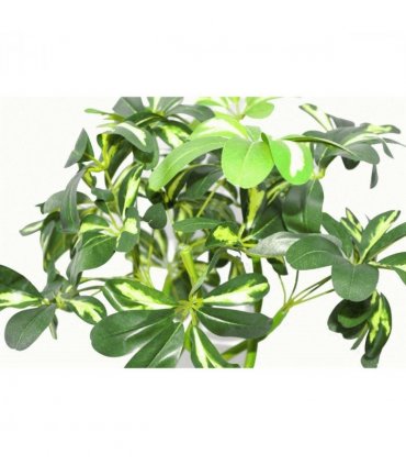 70cm Artificial Twisted Stem Modern Arboricola Artificial Plant Bonsai Bush