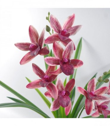 50cm Dark Pink Artificial Orchid in Ceramic Planter