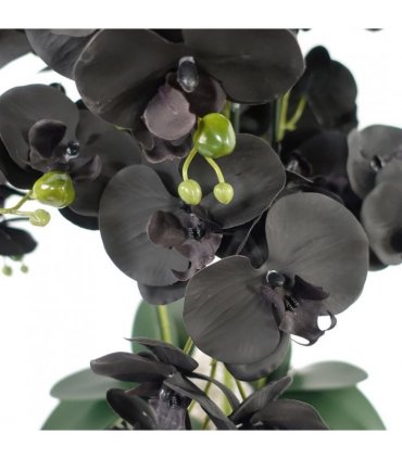60cm Orchid Artificial Black - White Ceramic Planter