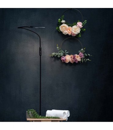 Lumina Floor Lamp - Black