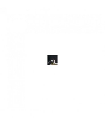 Clip on Magnifier Daylight LED