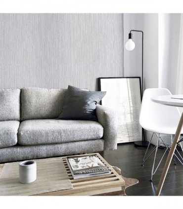 Stardust Silver sw12