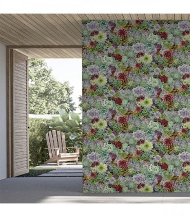 Succulent Living Wall Multi sw12