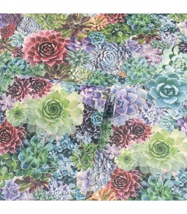 Succulent Living Wall Multi sw12
