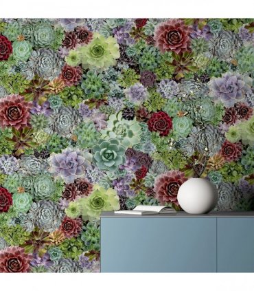 Succulent Living Wall Multi sw12
