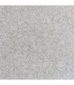 Quartz Silver sw6