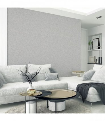 Quartz Silver sw6