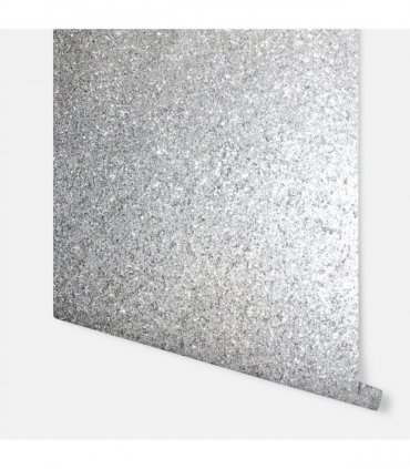 Sequin Sparkle Silver sw9