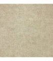 Luxury Plain Champagne sw6