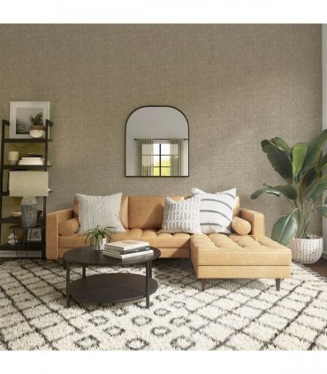 Luxury Plain Champagne sw6