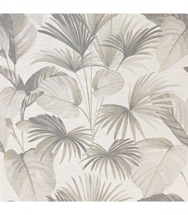 Palm Grove Natural sw6
