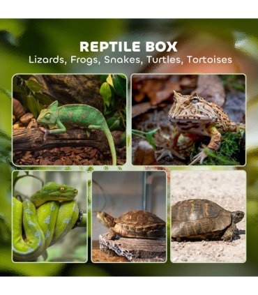 PawHut Glass Reptile Terrarium, 40L Vivarium for Lizards Frogs Snakes Turtles