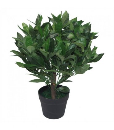 Pair of 50cm Dwarf Artificial Bay Trees Laurel Topiary Bushes