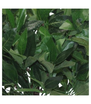 Pair of 50cm Dwarf Artificial Bay Trees Laurel Topiary Bushes