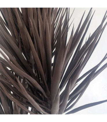 155cm Artificial Yukka Tree Plant Spiky UV Resistant Outdoor Tree Triple Dark Red and Brown