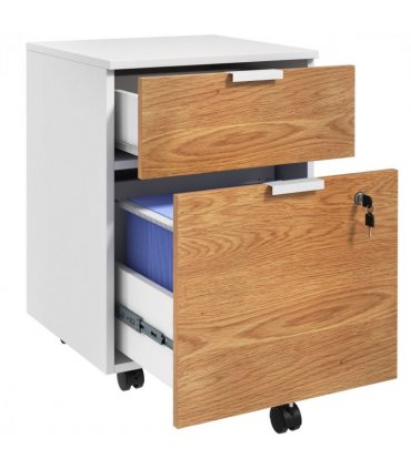 HOMCOM 2 Drawer Filing Cabinet with Adjustable Hanging Bars for A4 and Letter