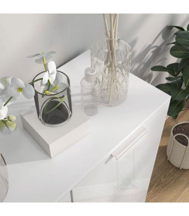 HOMCOM Shoe Storage Cabinet with Soft-Close Hinges & Adjust Shelves, High Gloss