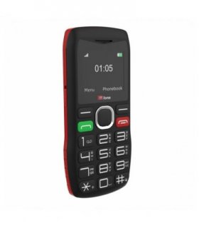 TTfone TT880 Easy-to-Use Mobile Phone for Seniors and Elderly - Large Button Phone with Emergency Assistance Button with USB Cable EE Pay as you go