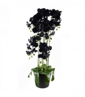 110cm Large Black Orchid Plant Artifcial 41 REAL TOUCH flowers