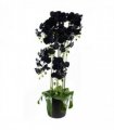 110cm Large Black Orchid Plant Artifcial 41 REAL TOUCH flowers