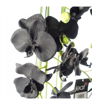 110cm Large Black Orchid Plant Artifcial 41 REAL TOUCH flowers