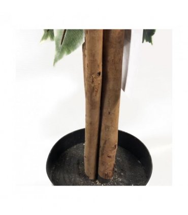 130cm Tall Variegated WhiteandGreen Bushy Ficus Tree