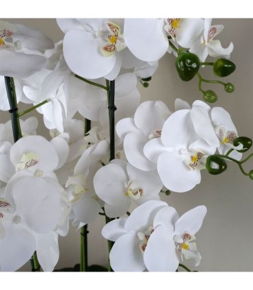 50cm Artificial Orchid with Glass Planter White