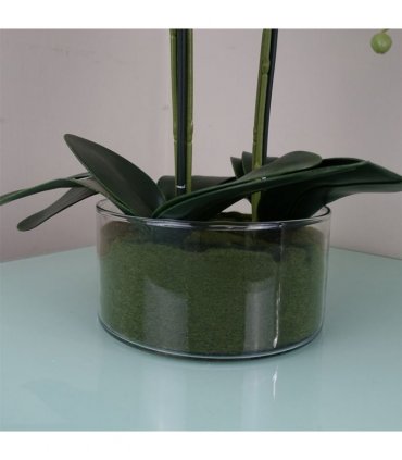 50cm Artificial Orchid with Glass Planter White