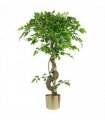 120cm Twisted Trunk Artificial Japanese Fruticosa Style Ficus Tree Gold Planter