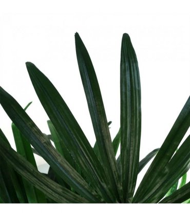 100cm Raphis Palm Artificial Tree