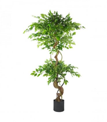 150cm Twisted Trunk Artificial Japanese Fruticosa Ficus Tree Black Planter