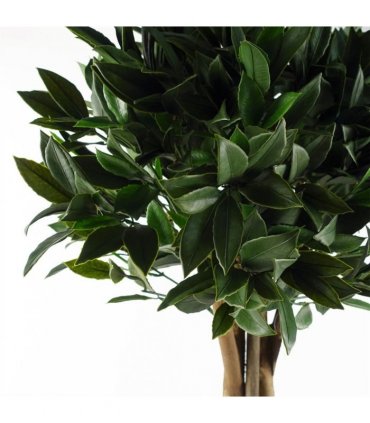 120cm Bay Tree Laurel UV Resistant Outdoor Topiary