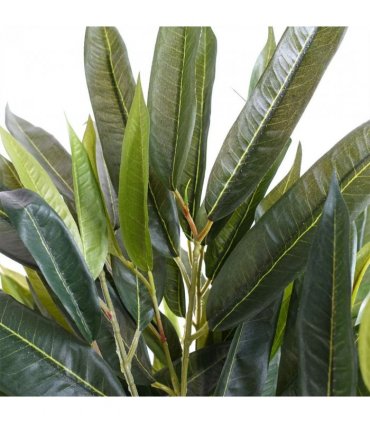 100cm Longifolia Ficus Tree Artificial Natural Trunk