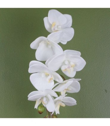 46cm Artificial Orchid White with Silver Pot