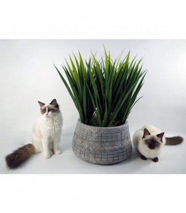 22cm x 37cm Large Grey Gliese Embossed Planter