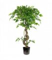120cm Twisted Trunk Artificial Japanese Fruticosa Style Ficus Tree Metal Planter