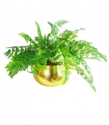 XL Metal Bowl Planter 32 x 20cm Hammered Gold Colour Straight Edge