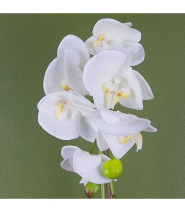 46cm Artificial Orchid White and Gold
