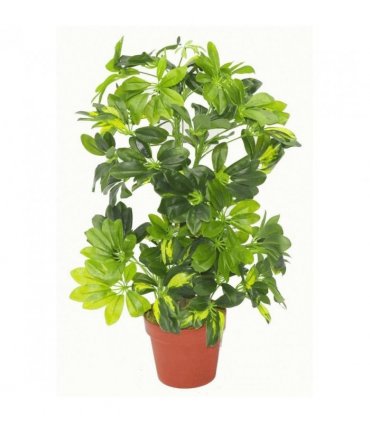 75cm Artificial Arboricola Gold Capella Plant Gold Metal Planter
