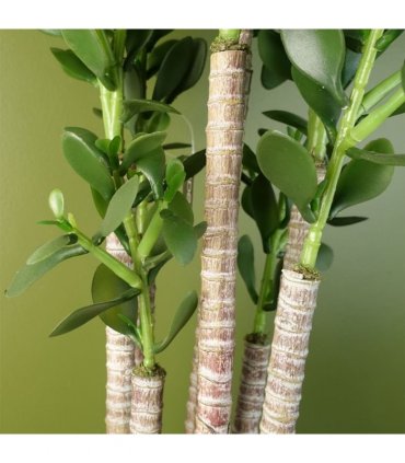 Artificial Deluxe 75cm Green Jade Plant