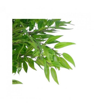 100cm Luxury Artificial Mini Ruscus Tree Premium Range