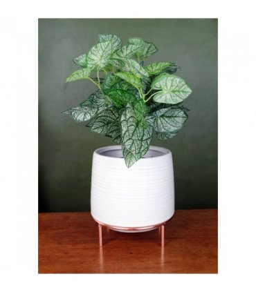 White Ceramic Planter Metal Stand Plant Pot