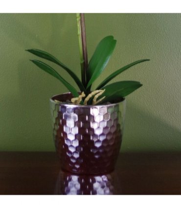 50cm Phalaenopsis Orchid Artificial Dark Pink Silver